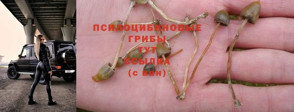гашиш Аркадак