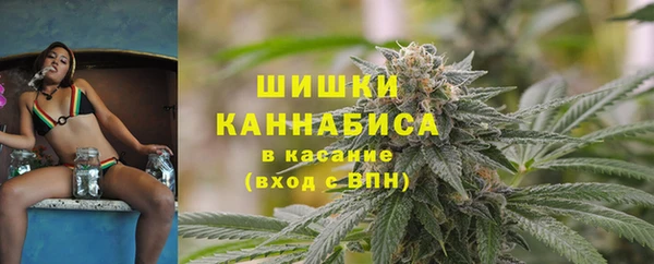 ешки Арсеньев
