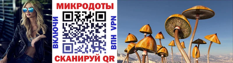 гидра   darknet телеграм  Псилоцибиновые грибы GOLDEN TEACHER  Балахна 